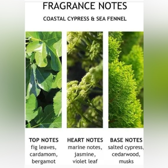 NWT Molton Brown Coastal Cypress & Sea Fennel Hand Wash - Picture 8 of 8